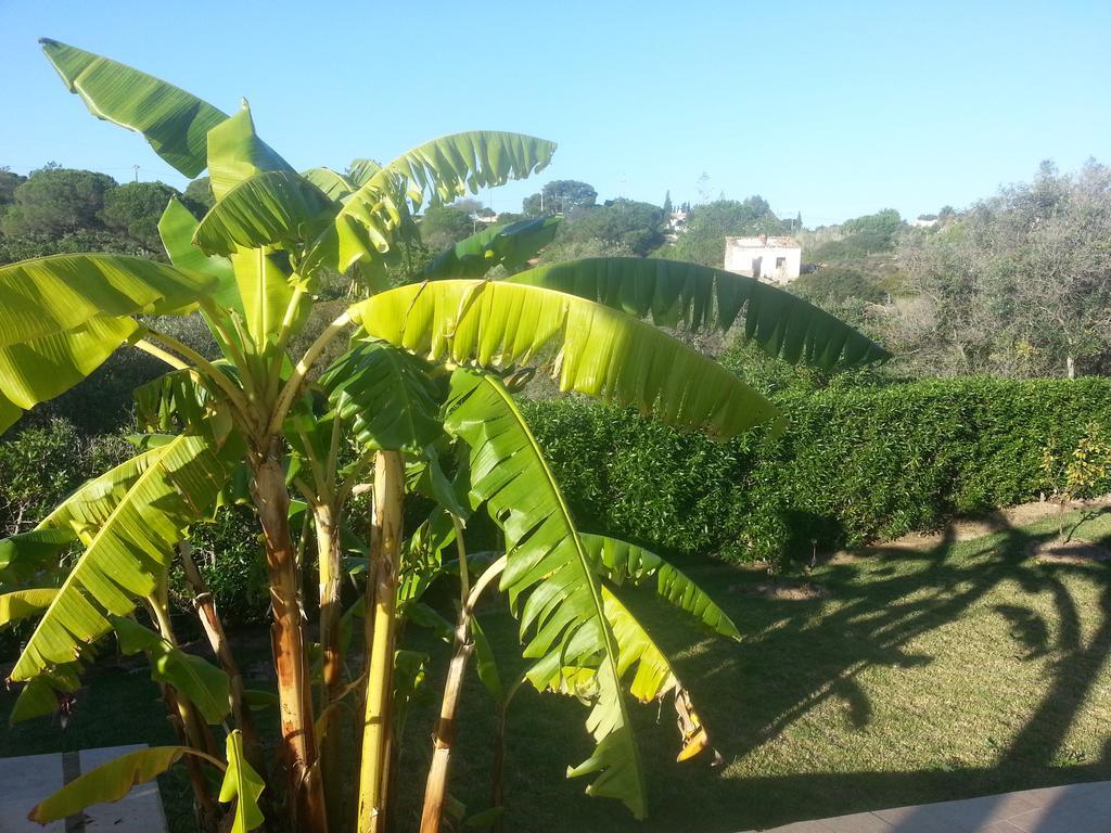 Casa Cereja 'Adults Only' Bed and Breakfast Albufeira Eksteriør billede