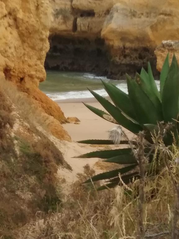 Casa Cereja 'Adults Only' Bed and Breakfast Albufeira Eksteriør billede