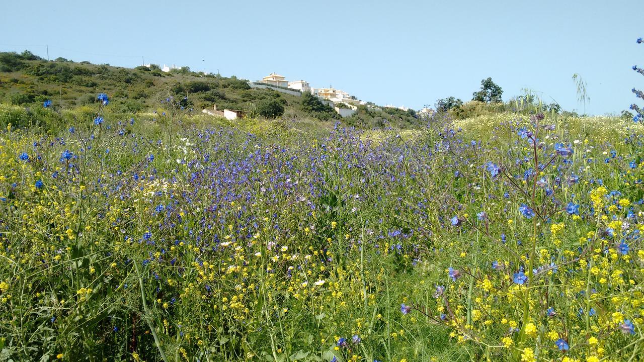 Casa Cereja 'Adults Only' Bed and Breakfast Albufeira Eksteriør billede