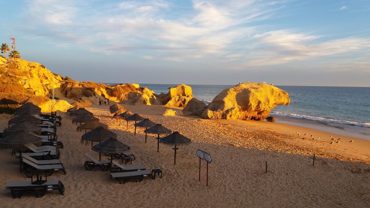 Casa Cereja 'Adults Only' Bed and Breakfast Albufeira Eksteriør billede